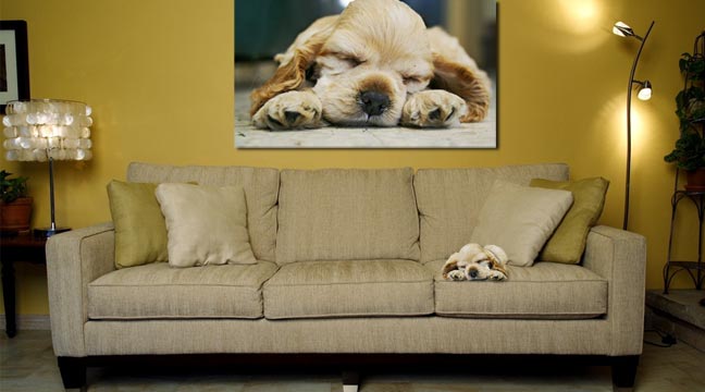 oil painting example of puppy sleeping on couch