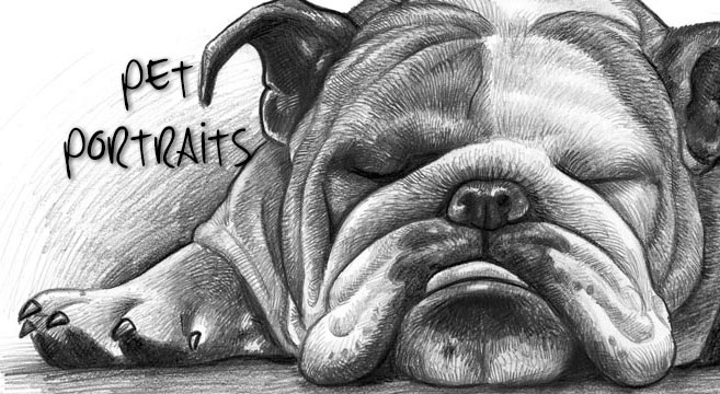 pet portraits - example of fat dog sleeping on floor